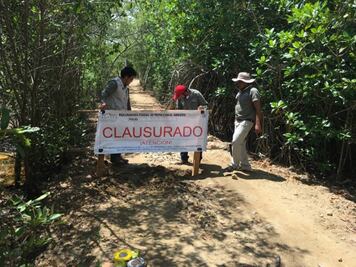 Profepa cancela obra junto a santuario tortuguero en Oaxaca