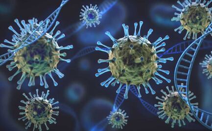 Lo que se sabe de Lambda, variante de Covid-19 que circula en Sudamérica