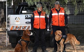 Cuauhtli y Balam: UNAM elige nombre para sus nuevos perros detectores de explosivos; afables y bonachones, los describen