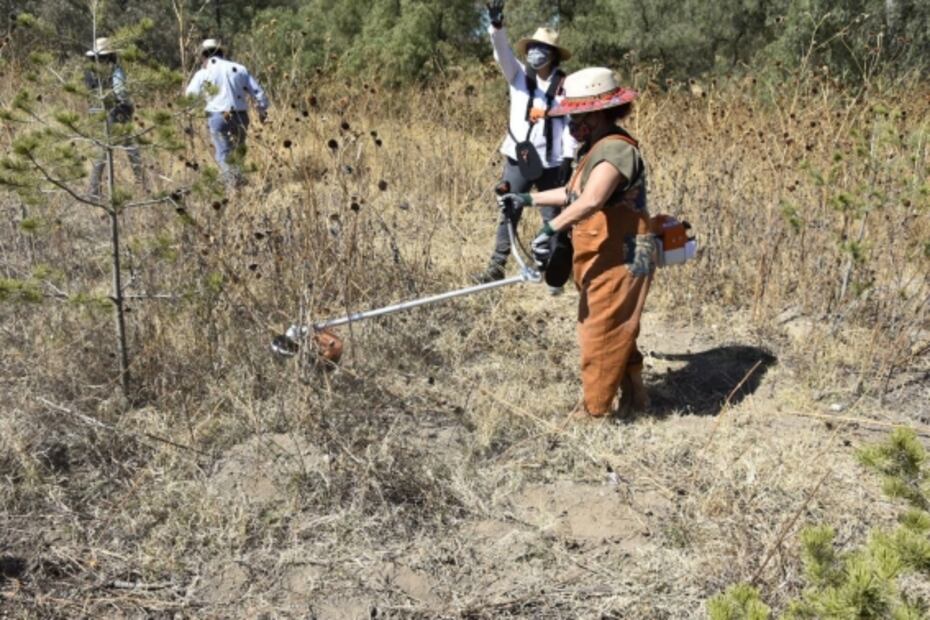 Arrancan limpieza de maleza en 120 hectáreas del Cerro de la Estrella