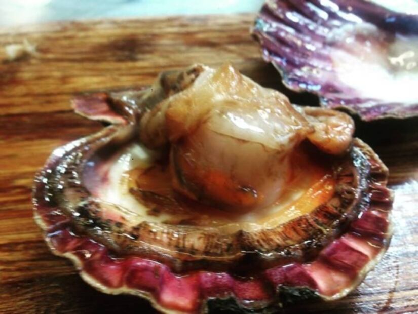 9 bivalvos que puedes comer en esta Cuaresma