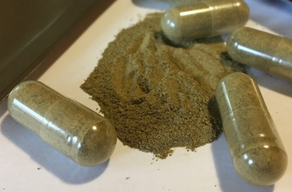 ¿Qué es el kratom, la planta recién despenalizada con propiedades estimulantes que sustituye a las bebidas alcohólicas? 