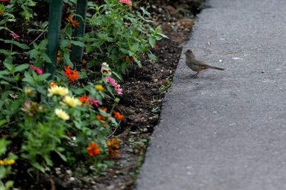 Xochitla Foundation: an oasis amidst State of Mexico's asphalt jungle