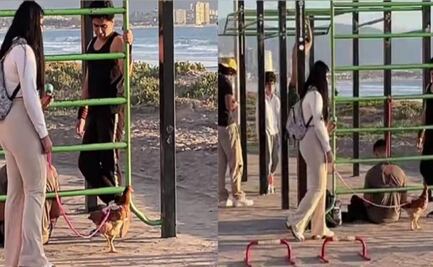 Mujer se hace viral al pasear a su gallina como si fuera un perro