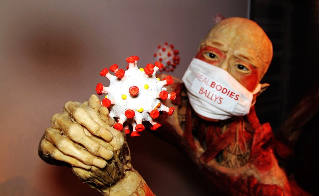 Foto: EFE/Adriana Arévalo