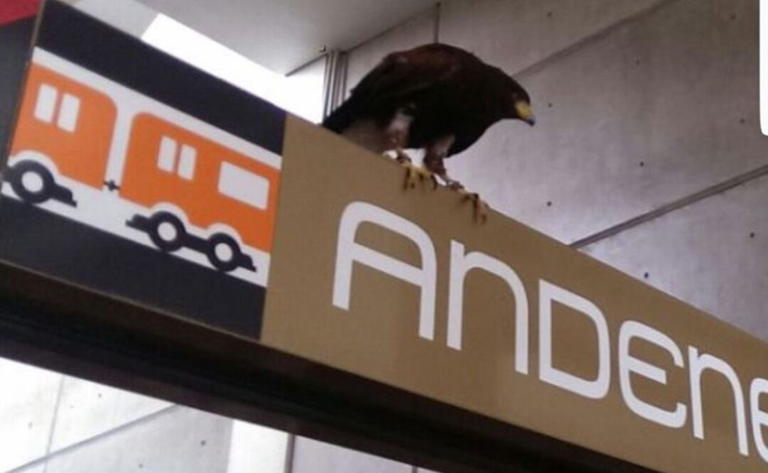 (Foto: Twitter @MetroCDMX)