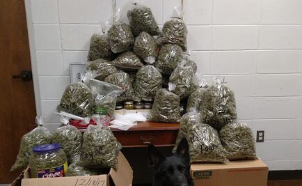 Caen en EU ancianos que querían "regalar" 27 kilos de marihuana para Navidad