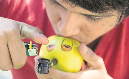 En México, más de 109 mil personas se inyectan drogas, revela encuesta