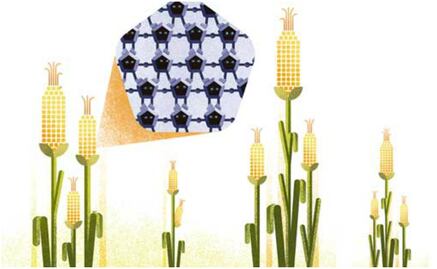 Innovación que no se ve