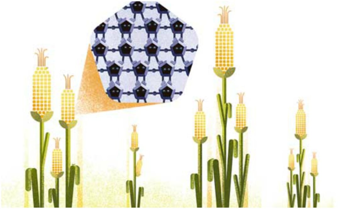 Las áreas médicas, automotriz, agrícola, textil y de manufactura se benefician de los avances e innovaciones de tamaño diminuto