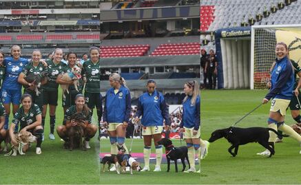 América Femenil y Santos Laguna ingresaron al campo de juego con perros para promover la adopción