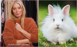Gwyneth Paltrow retira productos de Angora de Goop tras reclamos de defensores de animales