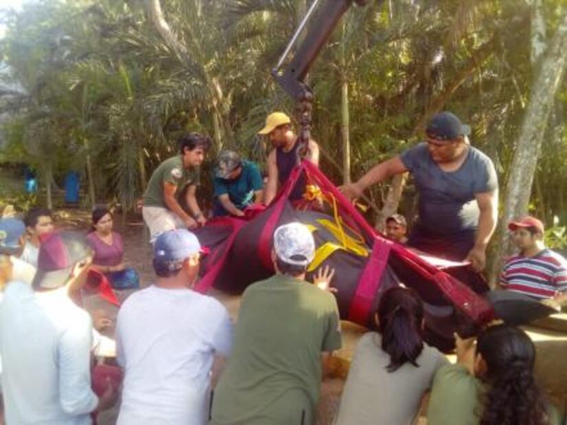 Ante muerte de animales acuáticos, diputados piden rescatarlos en Tabasco 