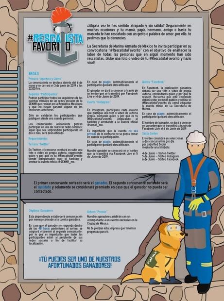 Semar lanza concurso para conocer a la perra rescatista Frida