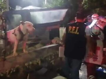 Perro pitbull salva a su dueño de ser apuñalado en Yucatán