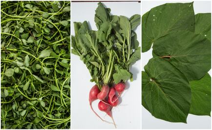 Quelites, un placer prehispánico