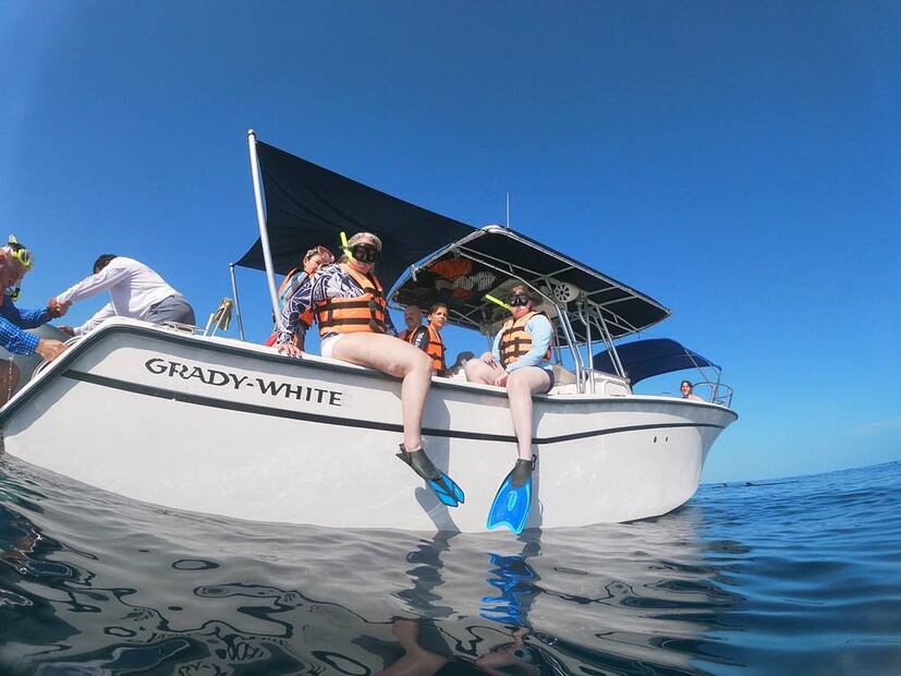 Foto: Mexico Whale Shark