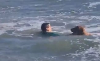 VIDEO: ¡Héroe al agua! Hombre rescata a un perrito en playa de Argentina