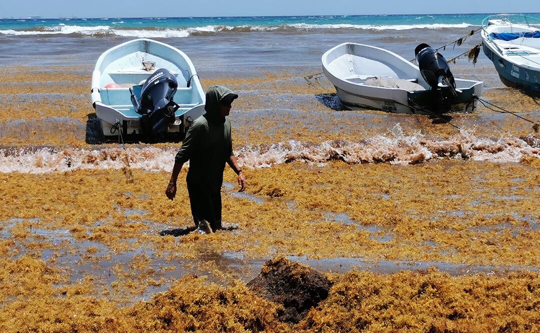 Foto: Adriana Varillas / EL UNIVERSAL