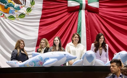 ¡Adiós espectáculos con delfines!; diputados aprueban prohibir “delfinarios”