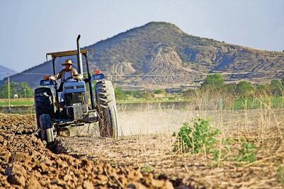 Sembrando Vida no detiene la migración