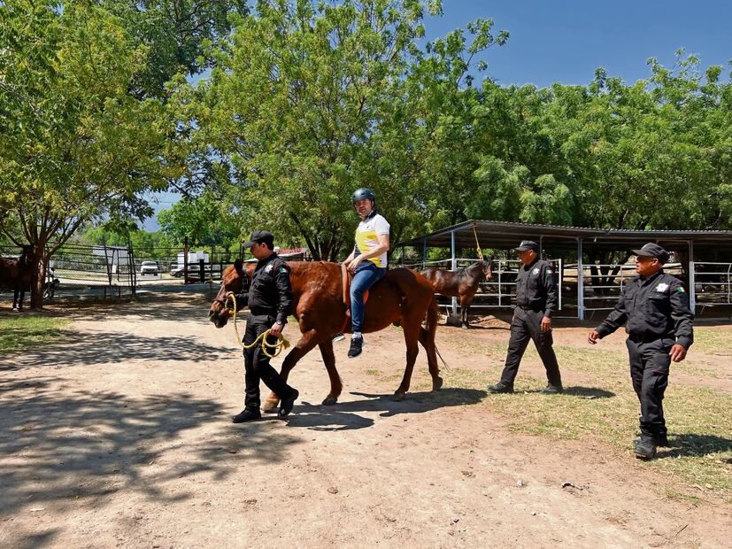 Para que los caballos realicen correctamente su función en estas terapias, deben tener ciertas características de temperamento, edad y mansedumbre. Foto: Roberto Aguilar y Especial 
