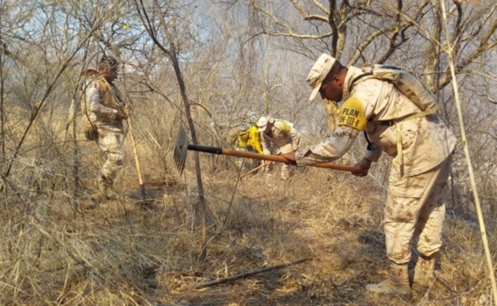 Activan nuevo incendio en la sierra de Álamos, Sonora; se sospecha que fue provocado