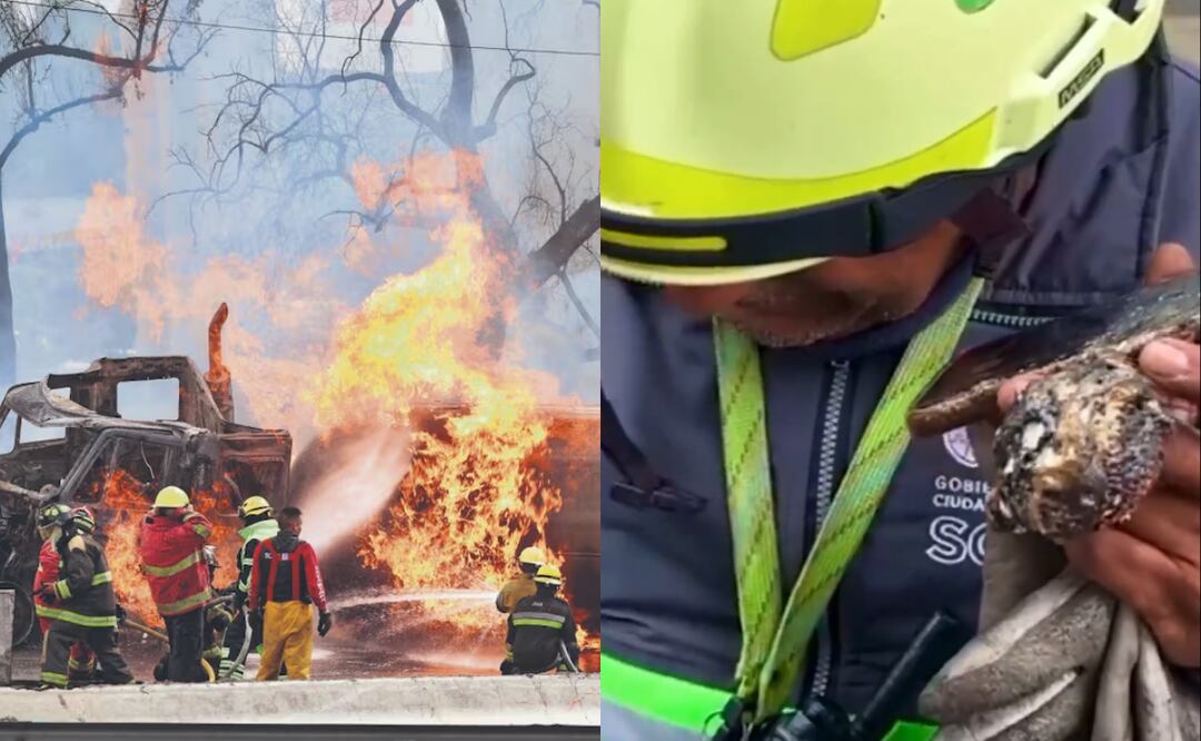 Elemento de Protección Civil encuentra celular de joven estudiante tras la explosión de una pipa de gas en las inmediaciones del Puente de la Concordia, en Iztapalapa CDMX. Foto: Valente Rosas, EL UNIVERSAL / Captura de pantalla de X