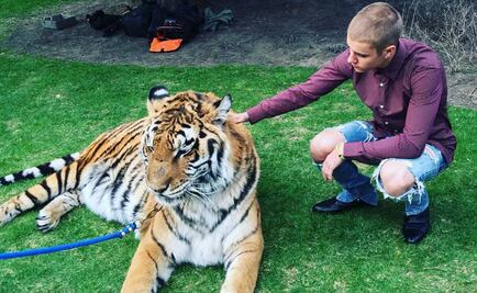 PETA se lanza contra Bieber por tigre encadenado