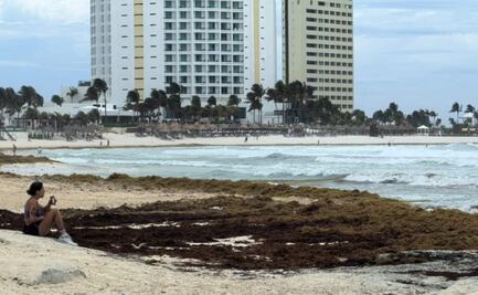 Quintana Roo prepara mesa de trabajo emergente para enfrentar llegada de sargazo; buscan atender puntos más críticos