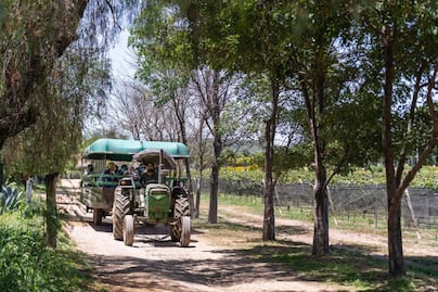 De ida y vuelta: 5 lugares cerca de CDMX en fin de semana