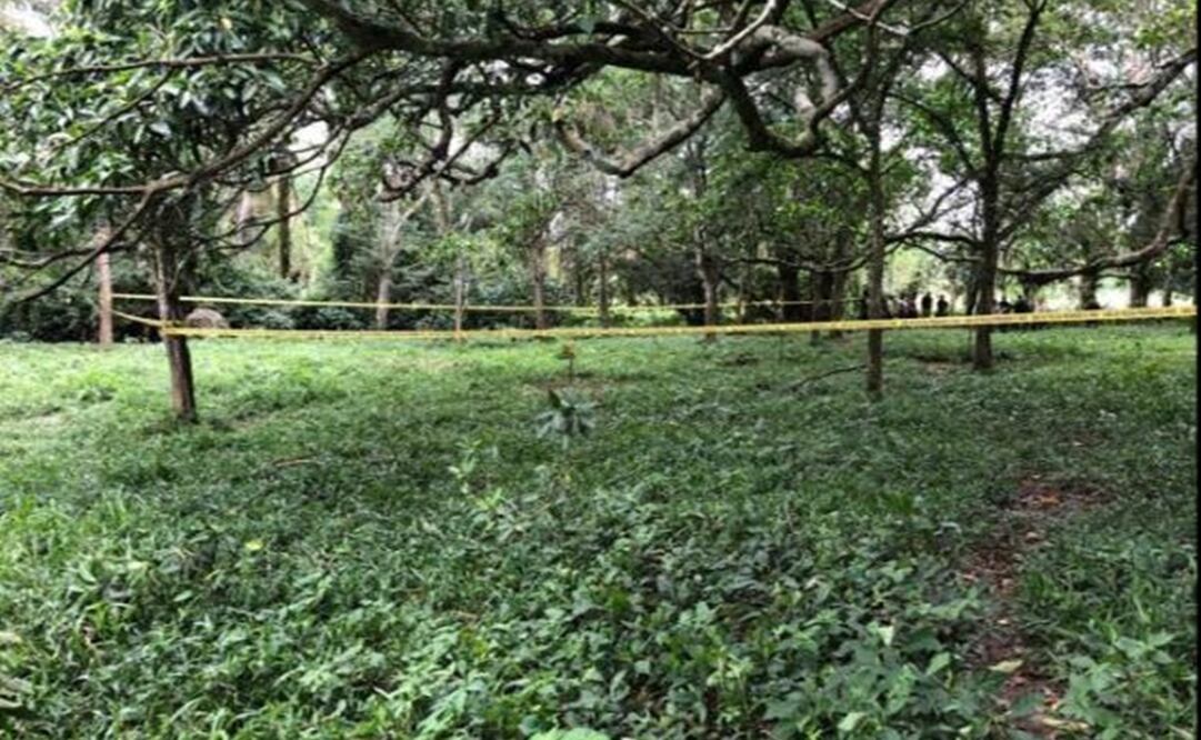 Fotos: Secretaría de Seguridad Pública de Veracruz