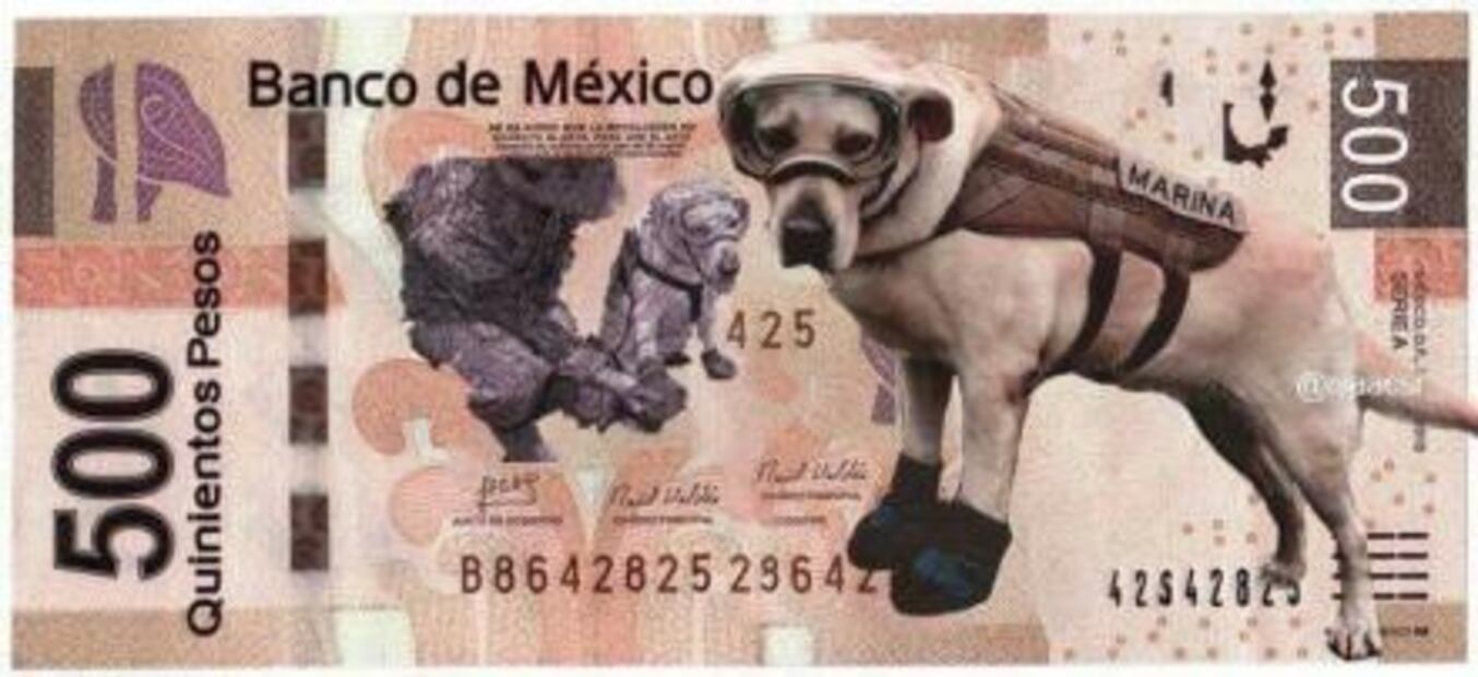 "Fridamania" invade la CDMX