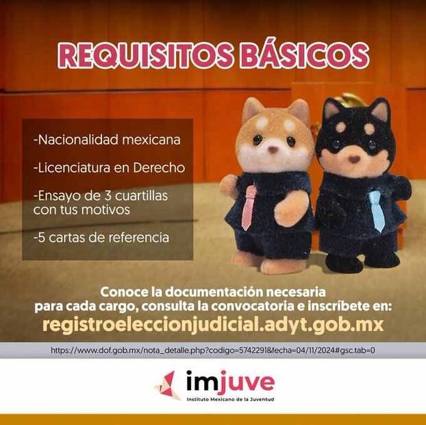 Convocatoria para el Poder Judicial. Foto: X @imjuvemx
