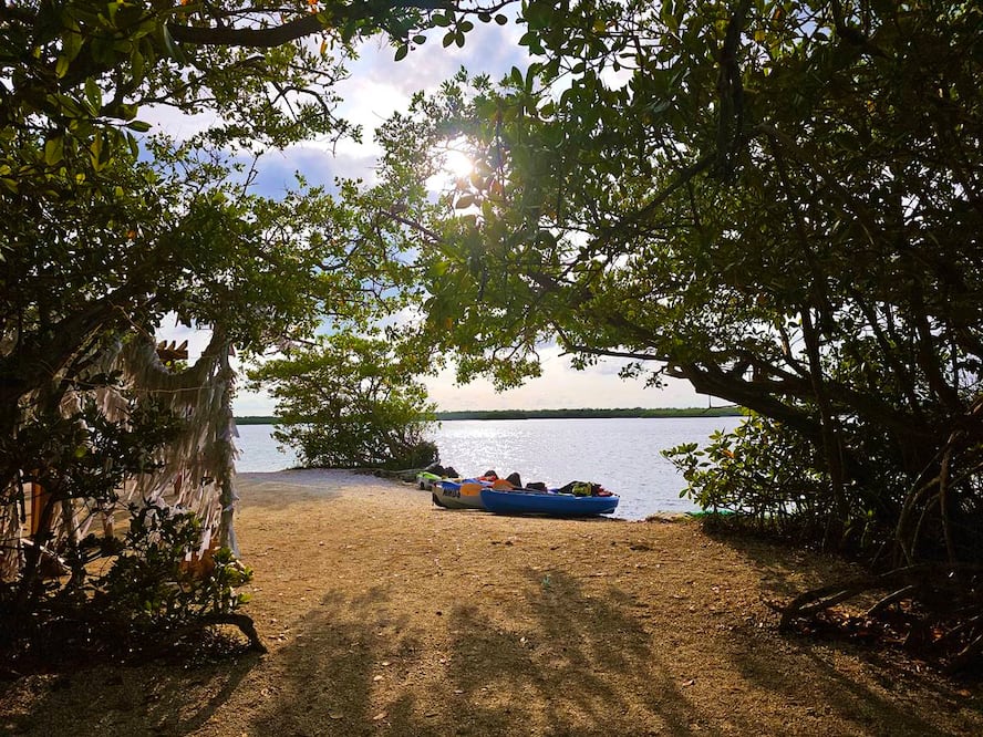 Foto: Natural Mystic Veracruz