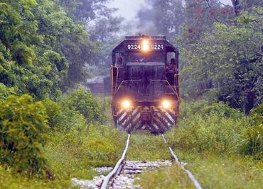Tren Maya: Conceden suspensión definitiva para frenar desmonte y tala en Tramos 3, 4, 5 Norte y 6
