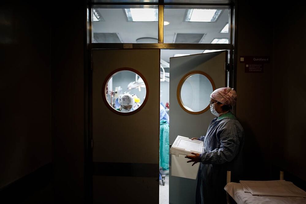 EFE/Juan Ignacio Roncoroni