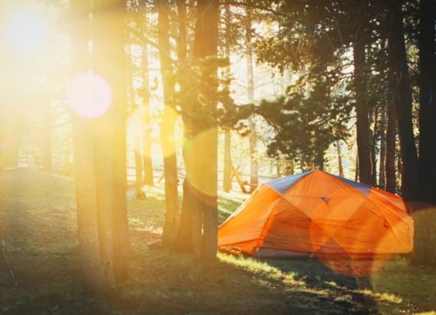 Agua Morada, las cabañas suspendidas en los árboles que debes conocer en Hidalgo