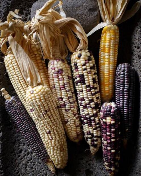 4 Recetas con maíz cacahuacintle