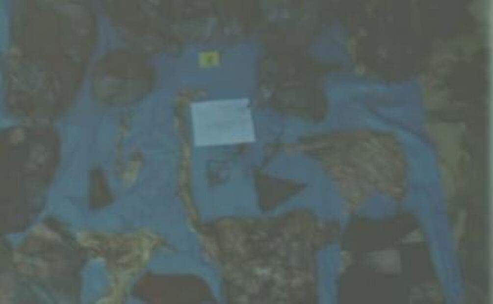 Localizan nueva fosa clandestina en Veracruz con 166 cráneos