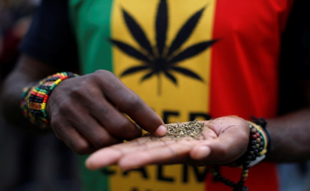 A man sorts marijuana, known locally as dagga, during a march calling for the legalisation of cannabis in Cape Town, South Africa - Photo:Mike Hutchings/REUTERS