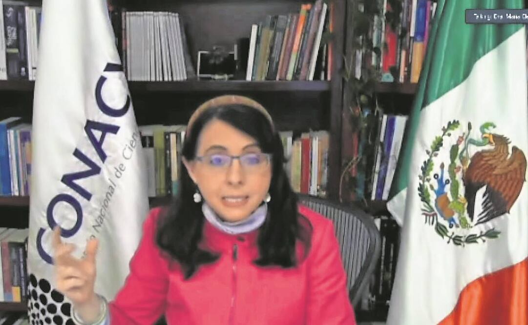 La comparecencia de la directora del Consejo Nacional de Ciencia y Tecnología fue virtual, formato que fue criticado por algunos legisladores durante la sesión. Foto: Tomada de YouTube