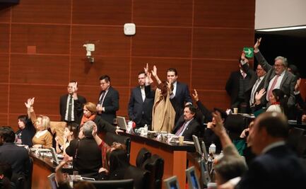 Senado avala en lo general y en lo particular desaparición del Seguro Popular