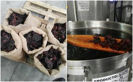 Conoce cómo se elabora el licor de chile ancho + recetas de cocteles