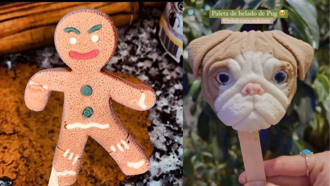 Perritos para humanos y personajes de Toy Story.