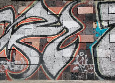 Estudian las pinturas con que están hechos los grafitis