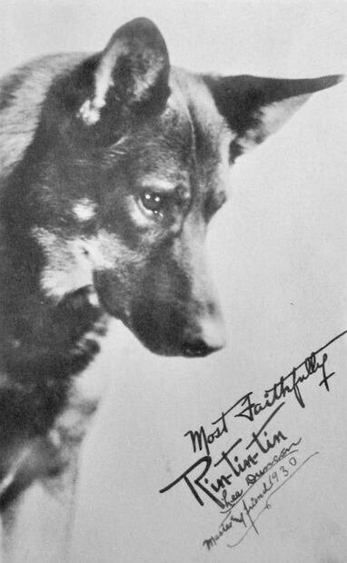 “Autógrafo” de Rin Tin Tin. Para cuando el pastor alemán estaba en la cima, hubo otro perro también famoso, “Pedro el Grande”, considerado “más inteligente y más extraordinario que Rin Tin Tin”; llegó a ganar mil dólares semanales. Foto: Wikimedia Commons.