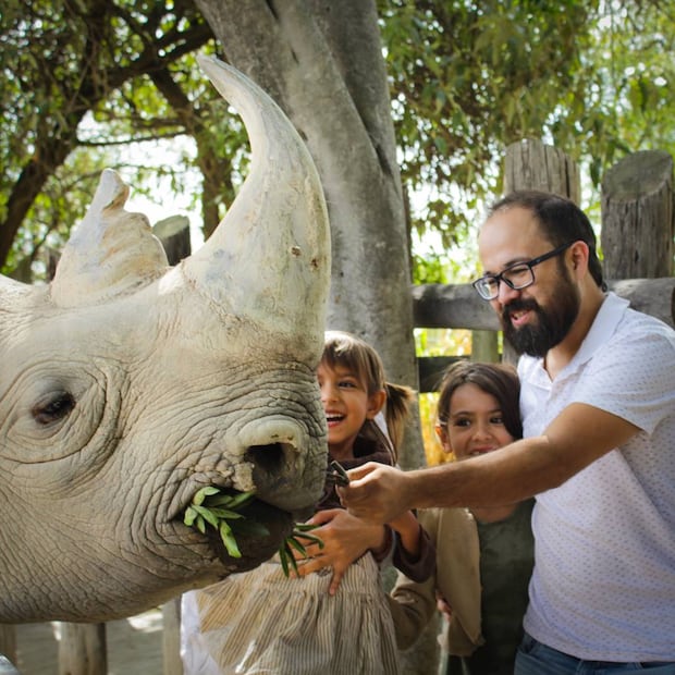Foto: Áfricam Safari