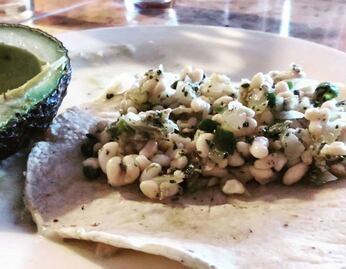 Los escamoles aportan más proteínas que la carne