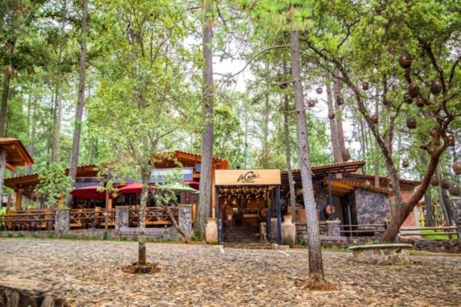 Tapalpa: cuánto cuesta ir a las cabañas de La Vid del Bosque